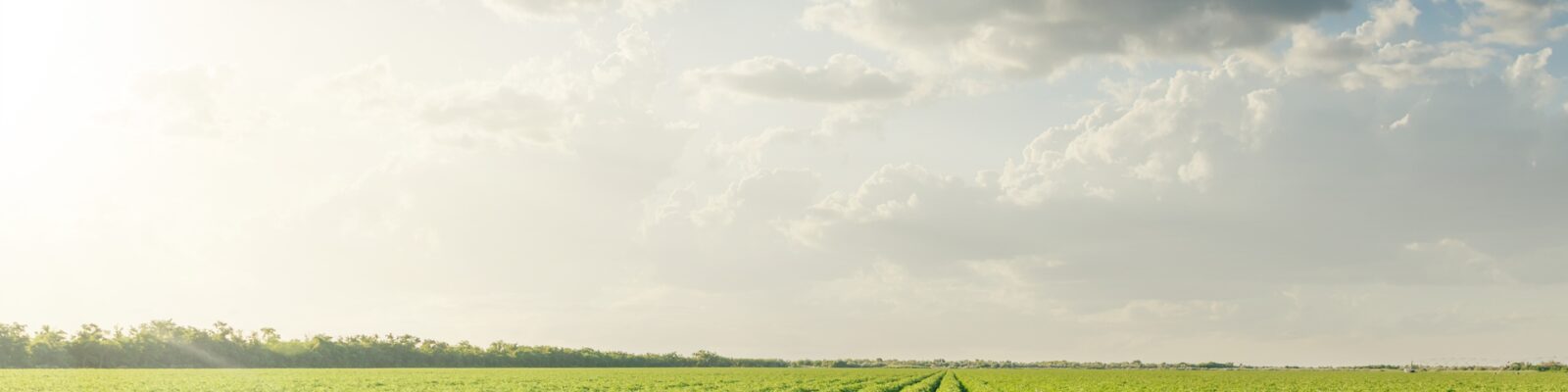 Our  business - field