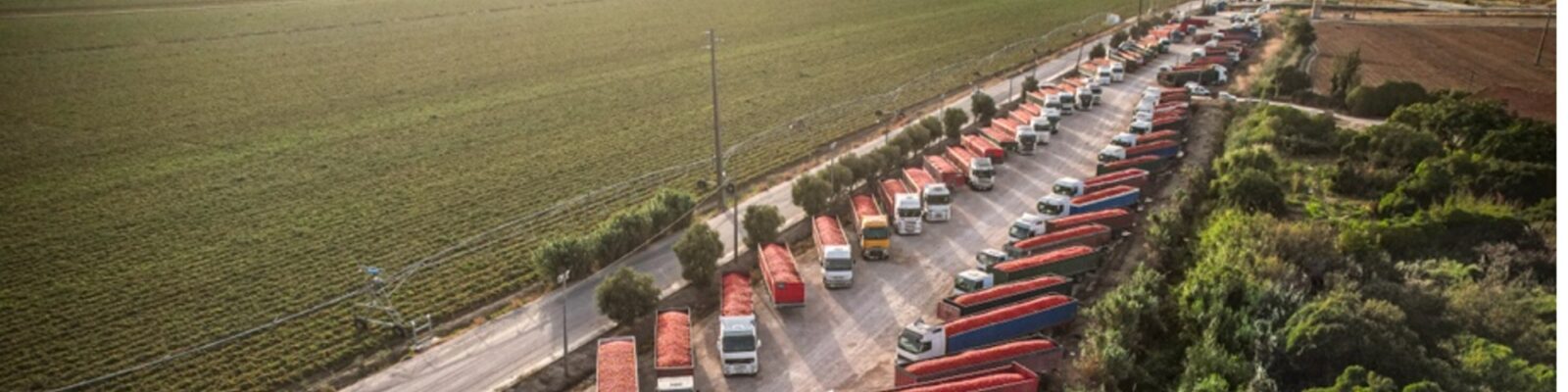 Factory with trucks